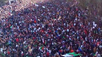 الجزائريون ينتفضون ضد العهدة الخامسة في مليونية الغضب (صور) 5
