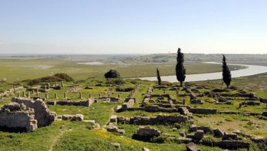 وزارة الثقافة تعلن عن فتح موقع "ليكسوس" الأثري 5
