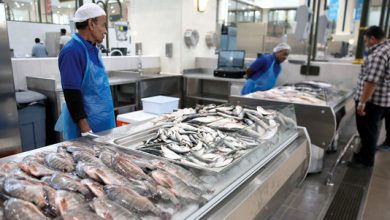 مهنيو قطاعي الفلاحة والصيد البحري يتعهدون بضمان استمرار الإنتاج وتوزيع المنتجات 5