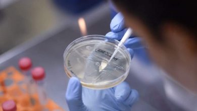 علماء يكشفون عن بشرى سارة بشأن وباء كورونا 2