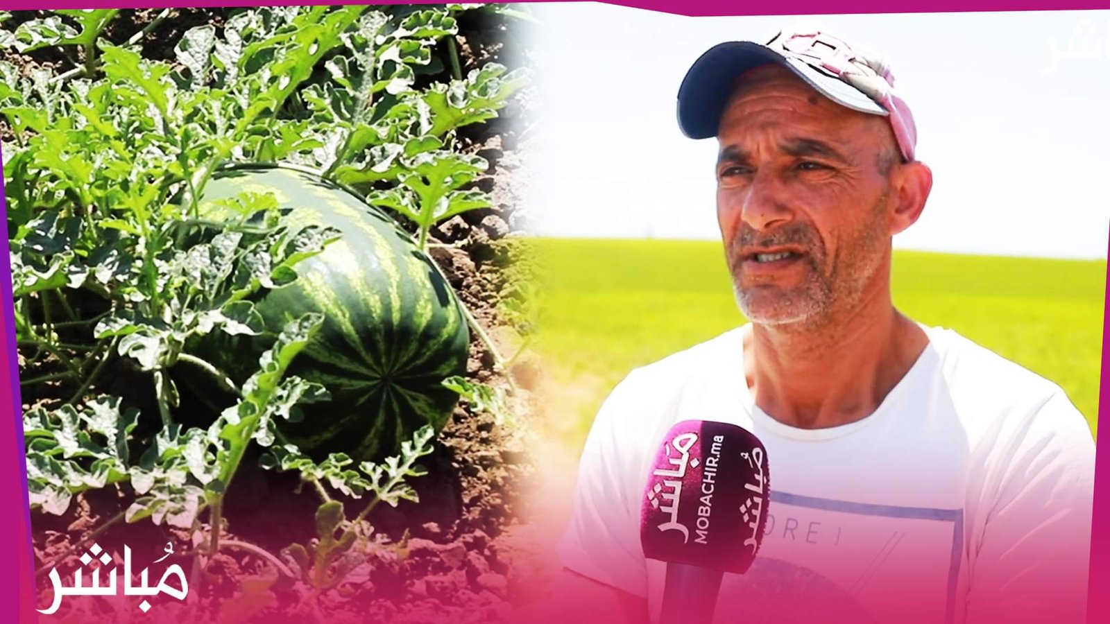 فلاح بالعوامرة: