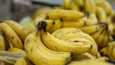 أونسا: الموز المتواجد بالأسواق المغربية "سليم" وما يتم تداوله مجرد أخبار زائفة 4