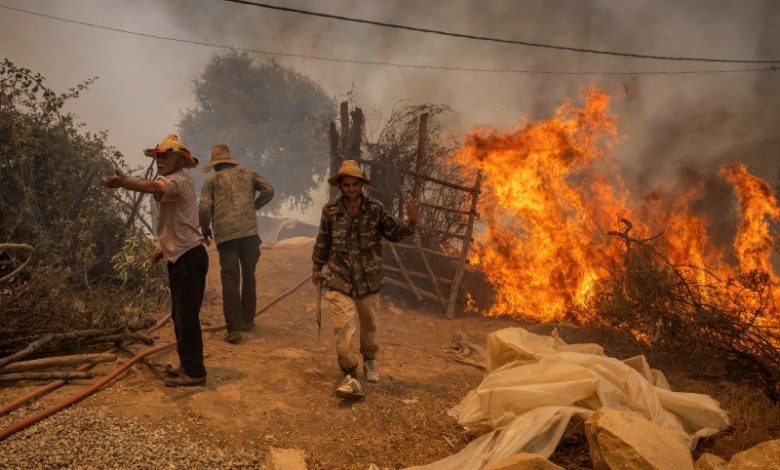 تعبئة 8 ملايين درهم لتأهيل الدور السكنية المتضررة من حرائق الغابات بجهة طنجة 1