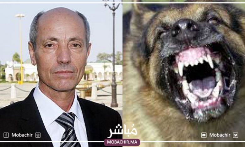 وزير سابق يجر جماعة طنجة إلى القضاء بسبب تعرضه لعضة كلب 1