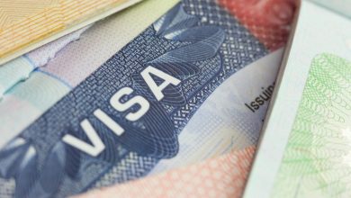 وزارة الخارجية عالجت حوالي 70 ألف طلب تأشيرة الكترونية خلال 6 أشهر 5